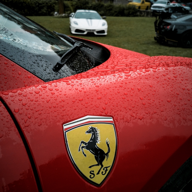 Ferrari détail chevale cabré